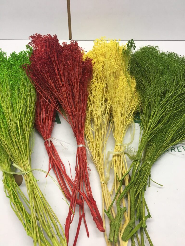 BROOM BLOOM Elemflora